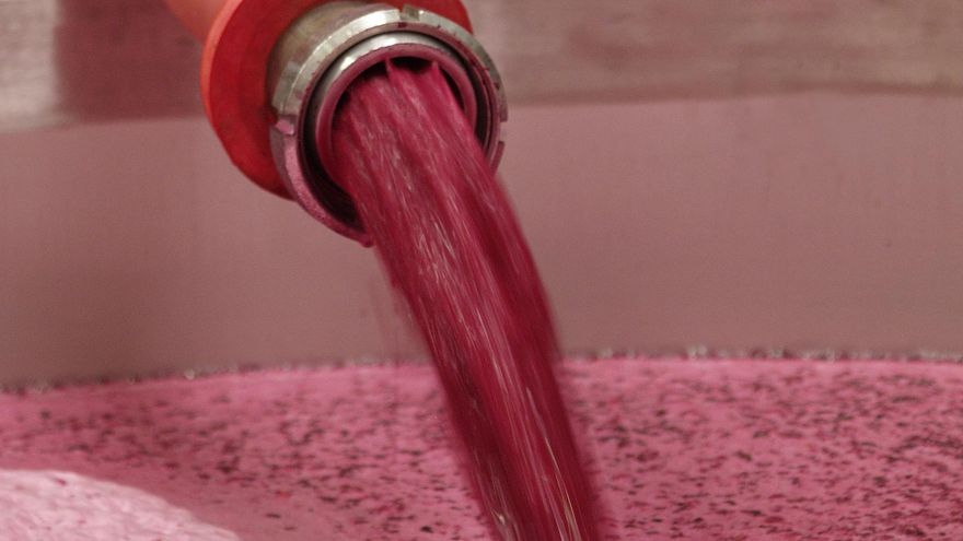 Las exportaciones de vino español suben en cantidad con respecto el año pasado pero bajan en valor