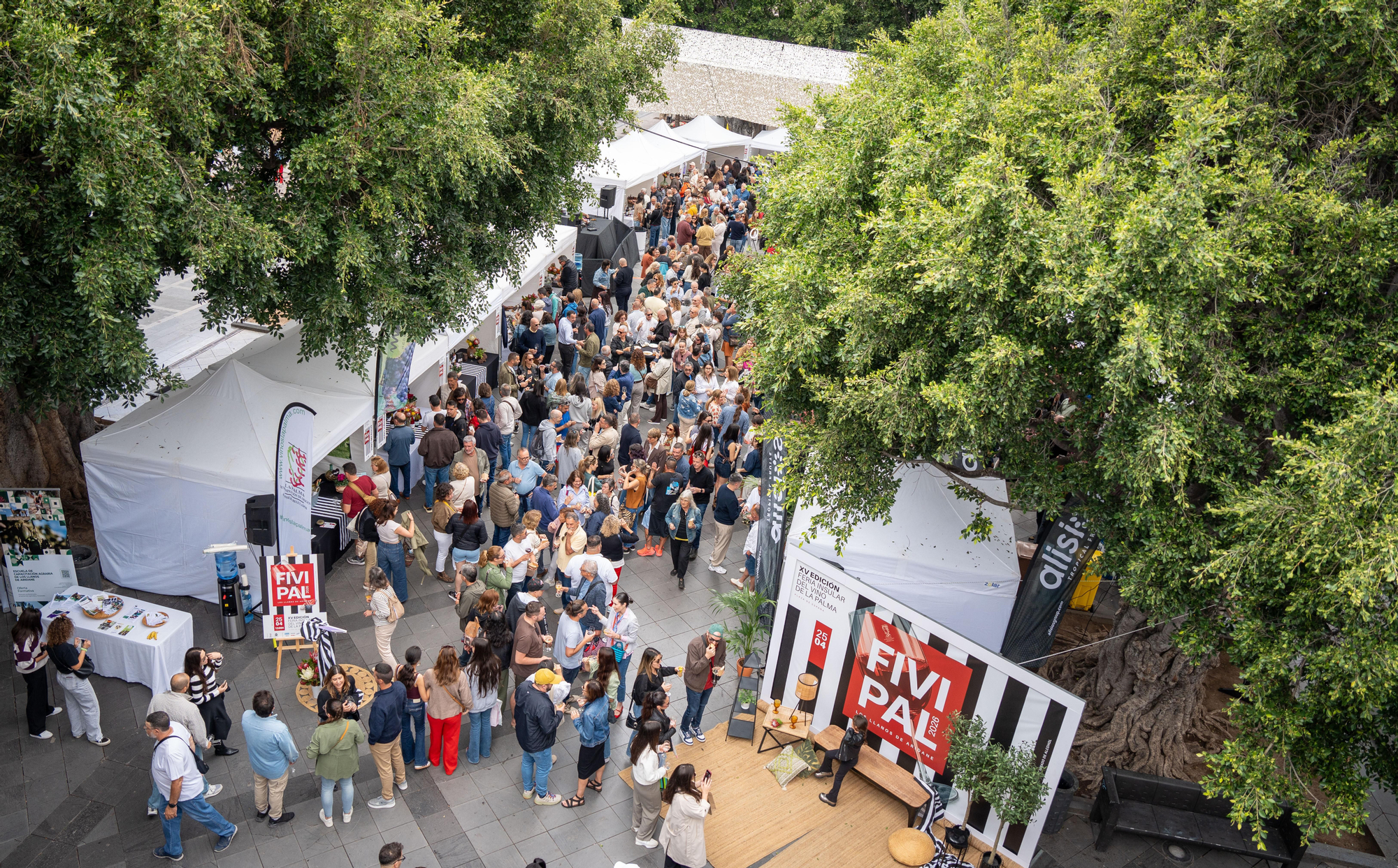 El Consejo Regulador celebra el éxito de la XV Feria del Vino de Los Llanos de Aridane.