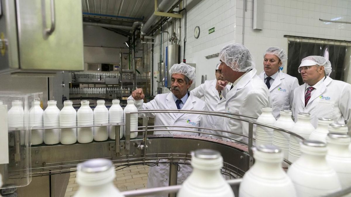 Cantabria tiene 59 industrias lácteas que suman 1.826 puestos de trabajo