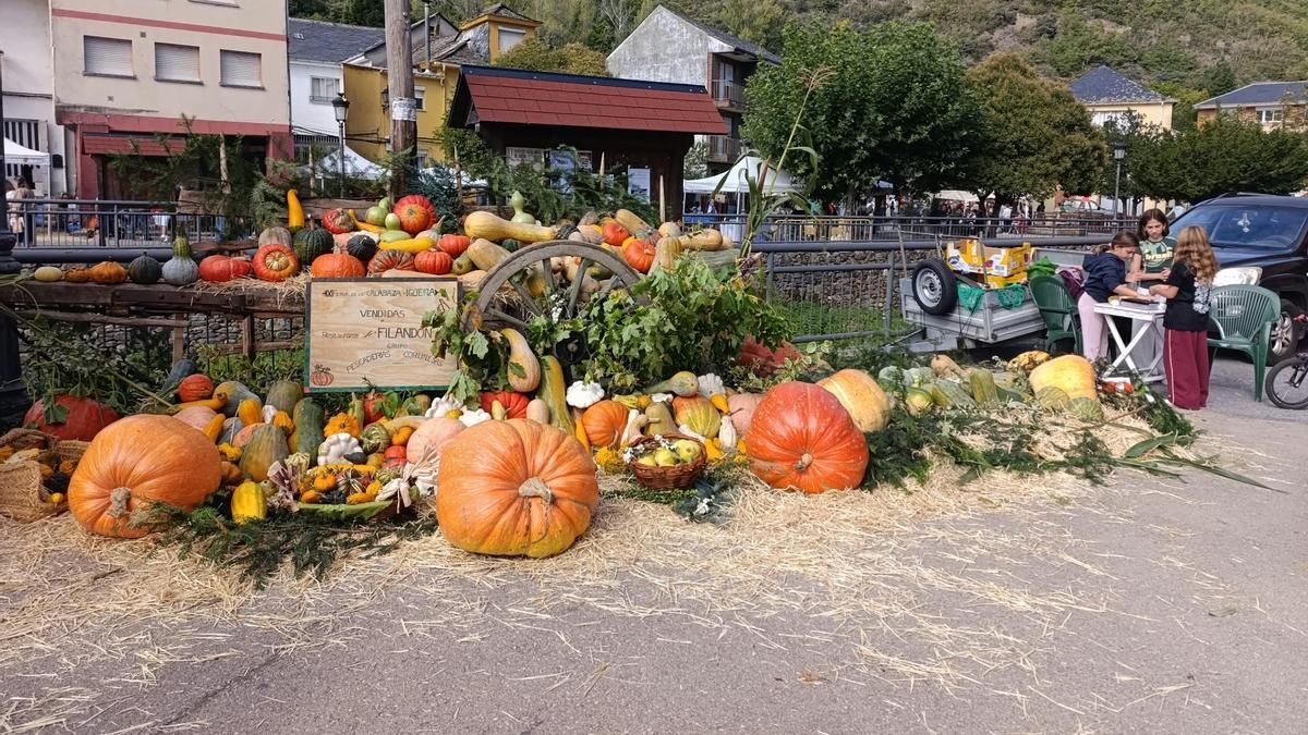 XI Feria de la Calabaza de Igüeña. 