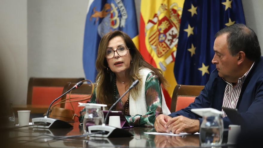 El Parlamento de Canarias ratifica los nombramientos en sus órganos dependientes