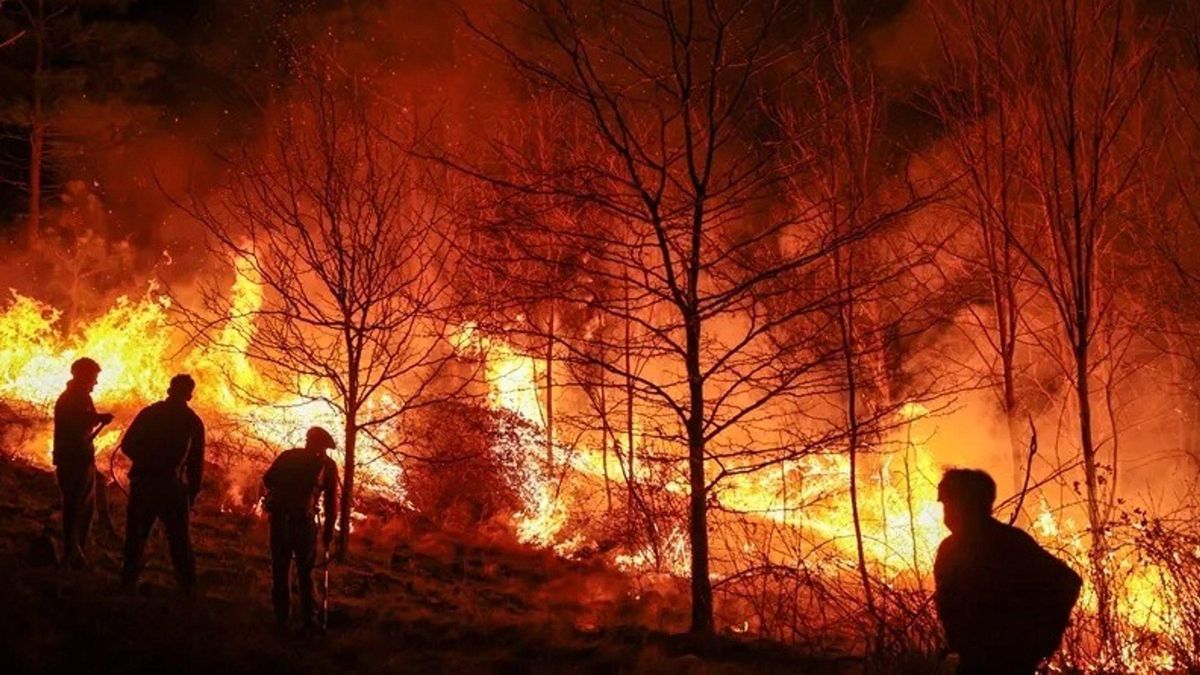 Incendios forestales