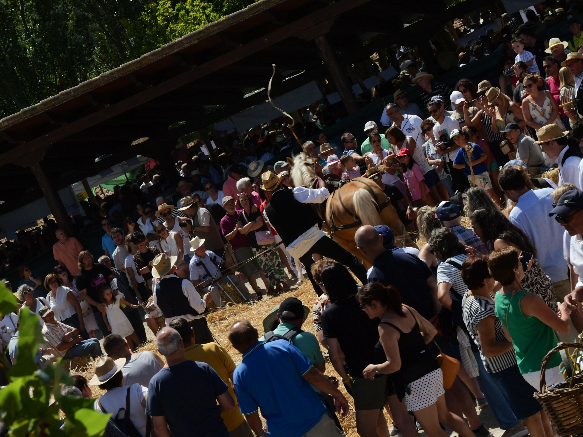 Las imágenes de la Fiesta de la Molienda de Ocón