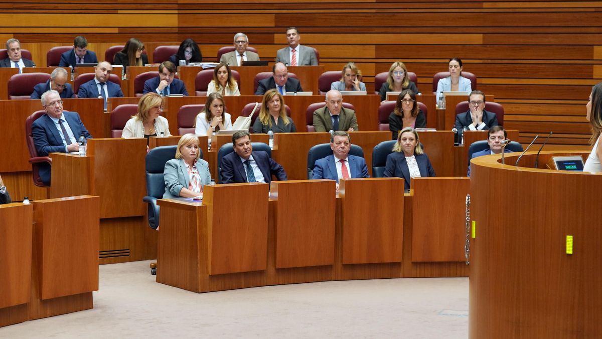 Las Cortes de Castilla y León reprueban al consejero de Medio Ambiente de Mañueco por su gestión de la ola de incendios