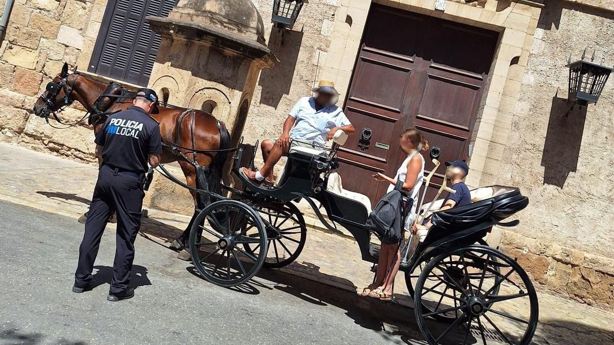 Policia Local de Palma denuncia el conductor d'una galera per circular durant alerta groga per altes temperatures.