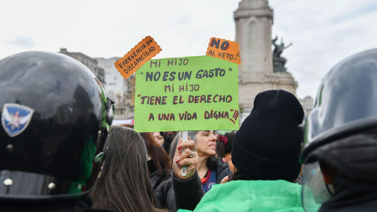 Diputados trata el veto a la emergencia en discapacidad.