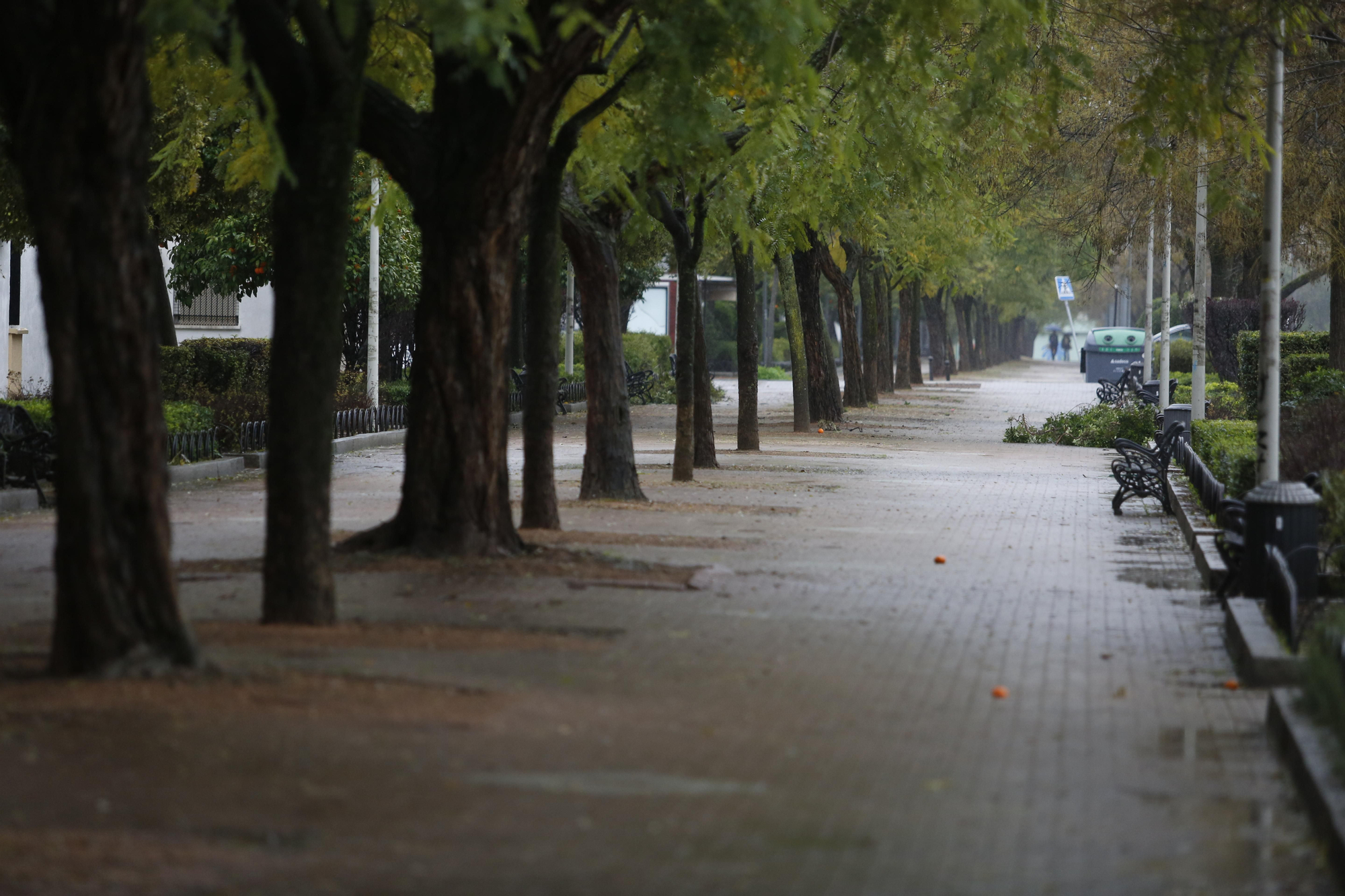 La borrasca Leonardo a su paso por Córdoba