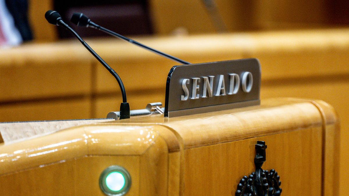 Una jueza imputa a los dos informáticos despedidos por espiar a senadores