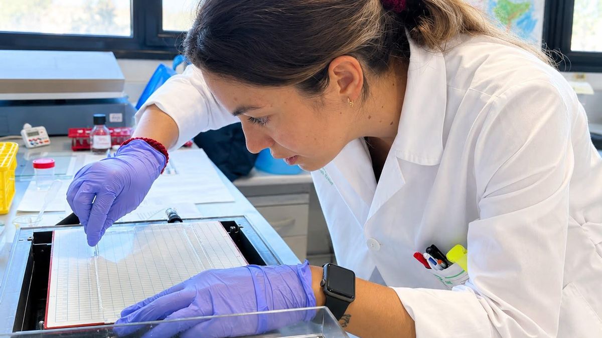 Teresa, en el laboratorio donde desarrolla su trabajo