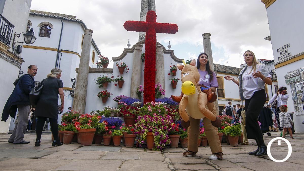 Cruz de mayo de la Asociación Sonrisa de Lunares en la Plaza del Potro