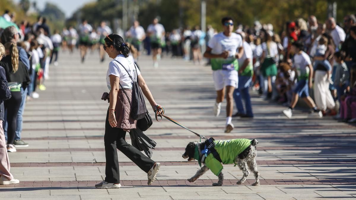 Córdoba en Marcha Contra el Cáncer 2026