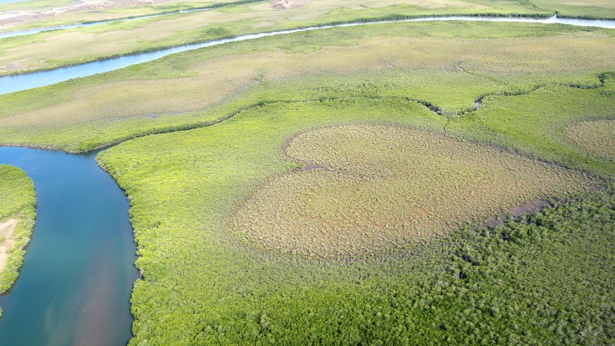 El corazón de Voh, en Nueva Caledonia.