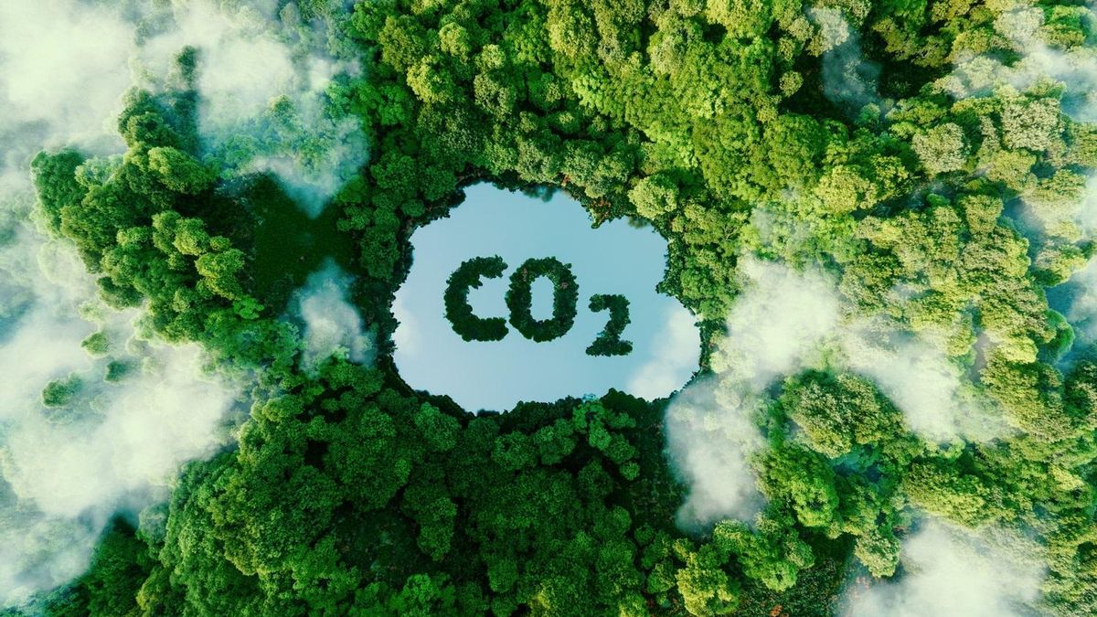 Acción climática, medio ambiente