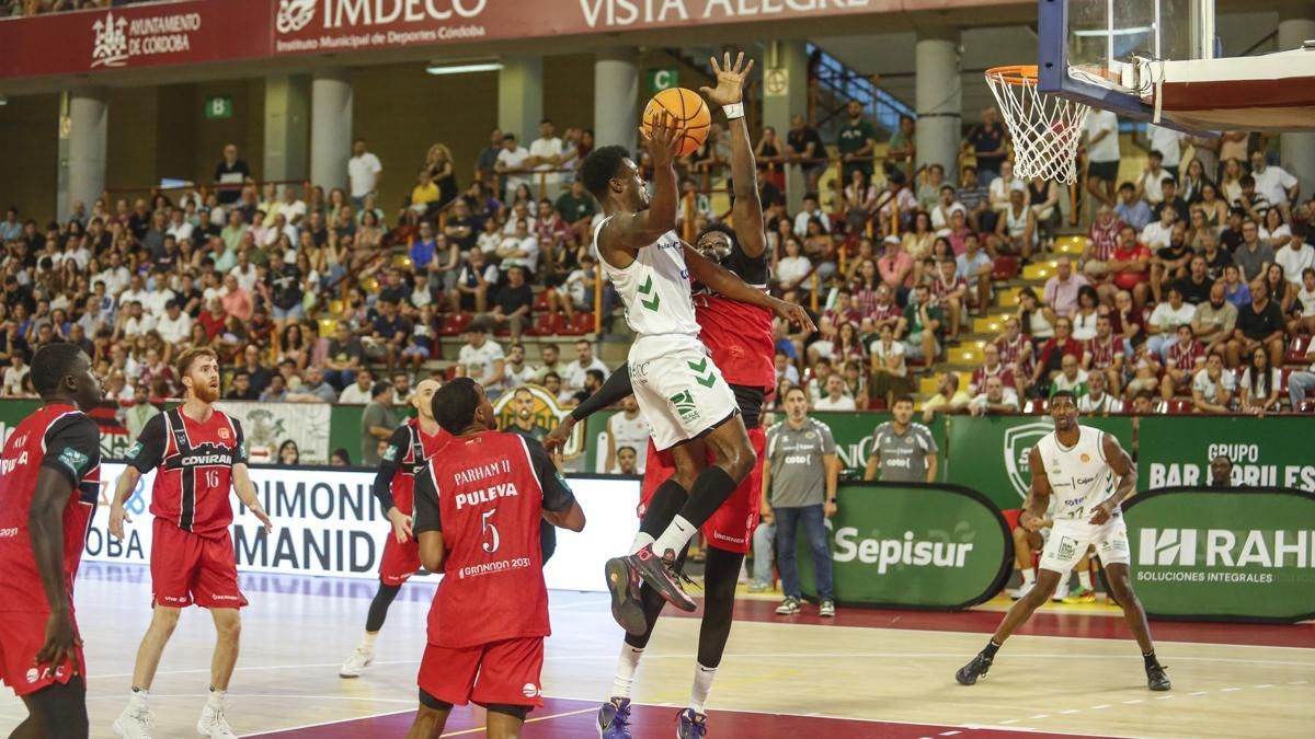 Cajasol Coto Córdoba - Covirán Granada en la Copa de Andalucía de Baloncesto