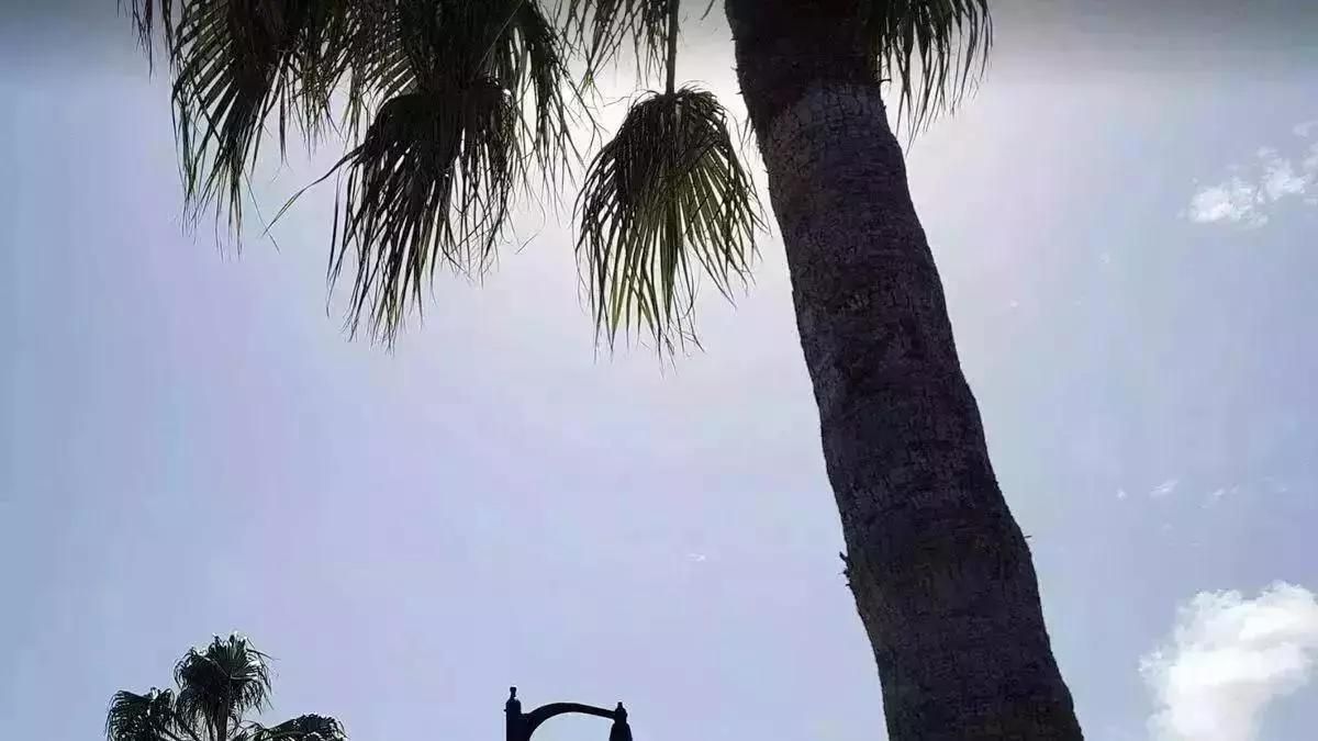 Imagen de archivo de un día soleado en Santa Cruz de La Palma.