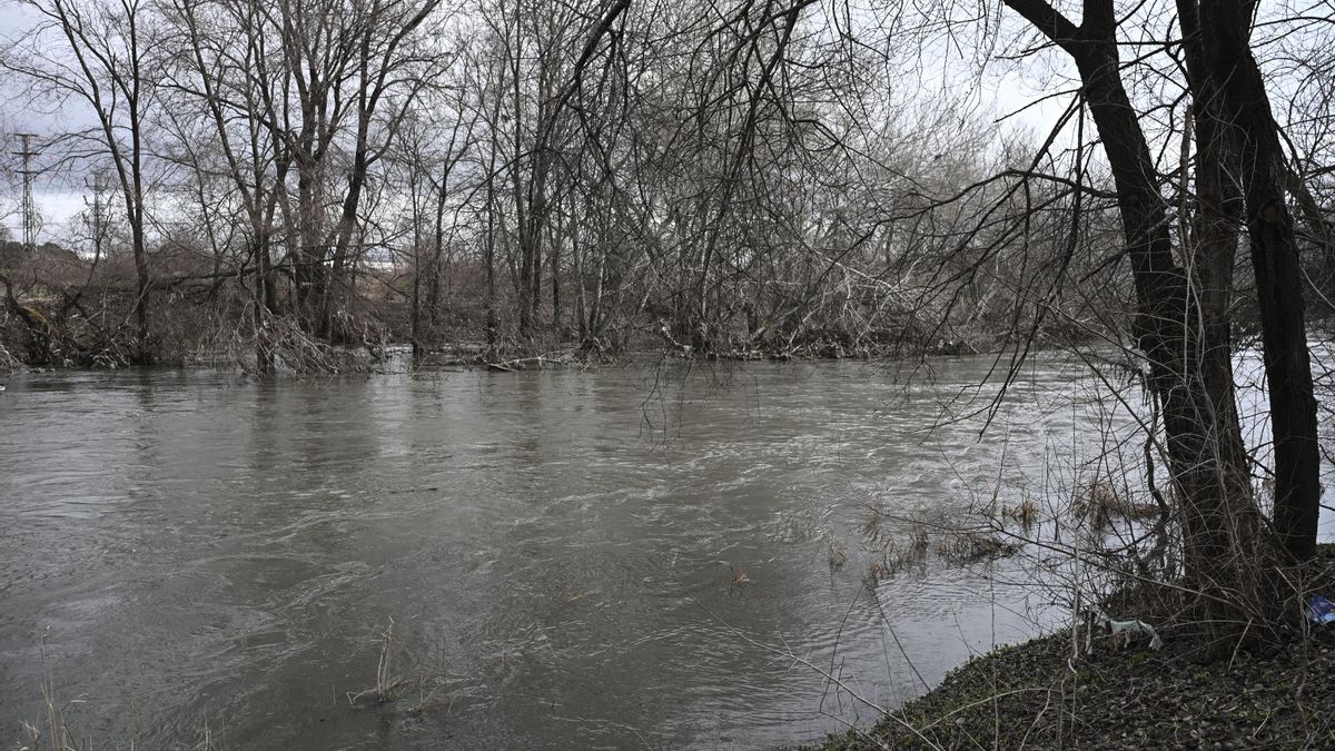 Crecida en el Jarama, este miércoles en Madrid