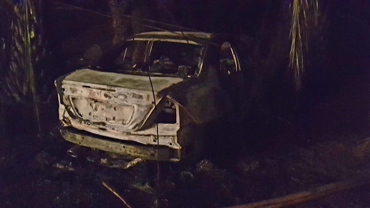 El fuego calcina 35 hectáreas de palmeral en Fataga