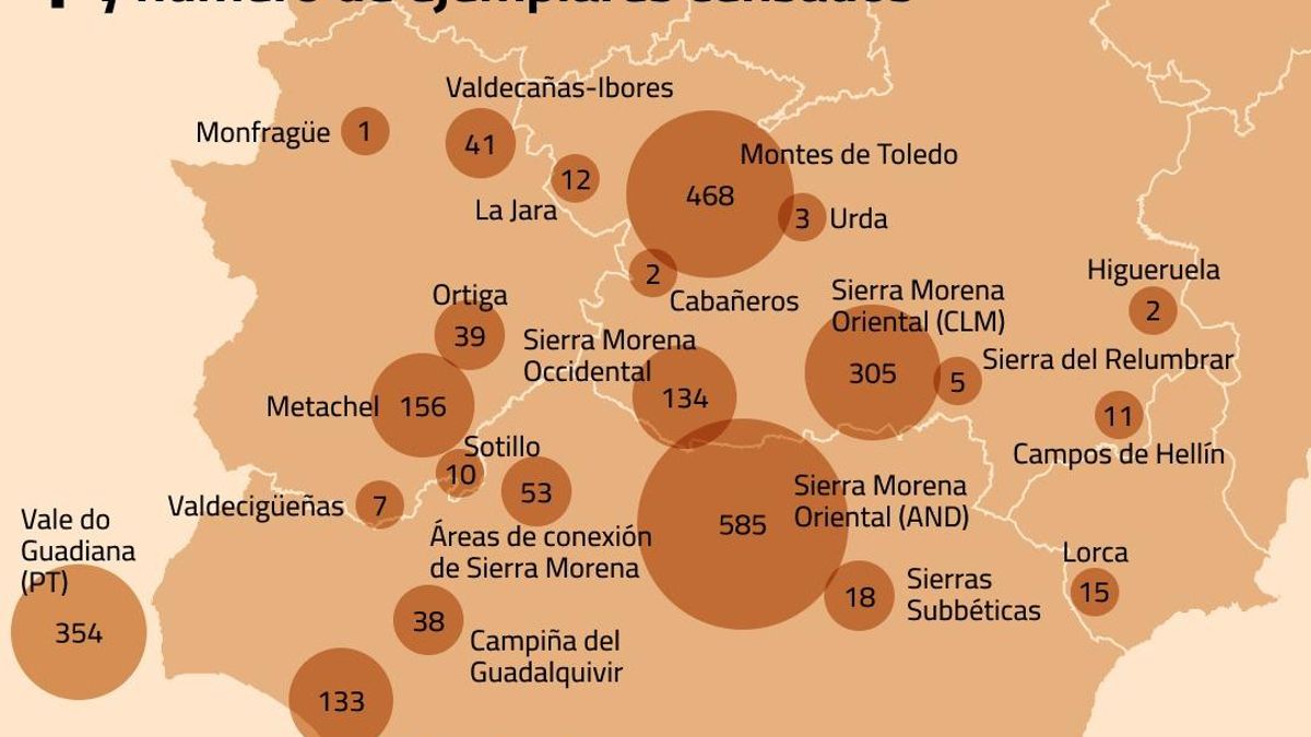 Distribución de las poblaciones de lince ibérico en la península ibérica