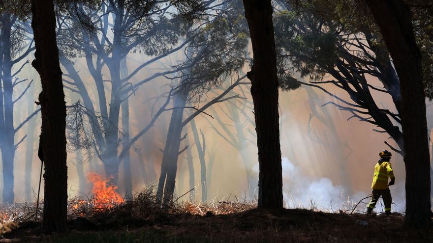 Cinco casas sufren daños por el incendio en Chiclana (Cádiz)