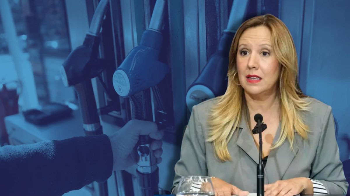 La presidenta del Cabildo de Tenerife, Rosa Dávila.