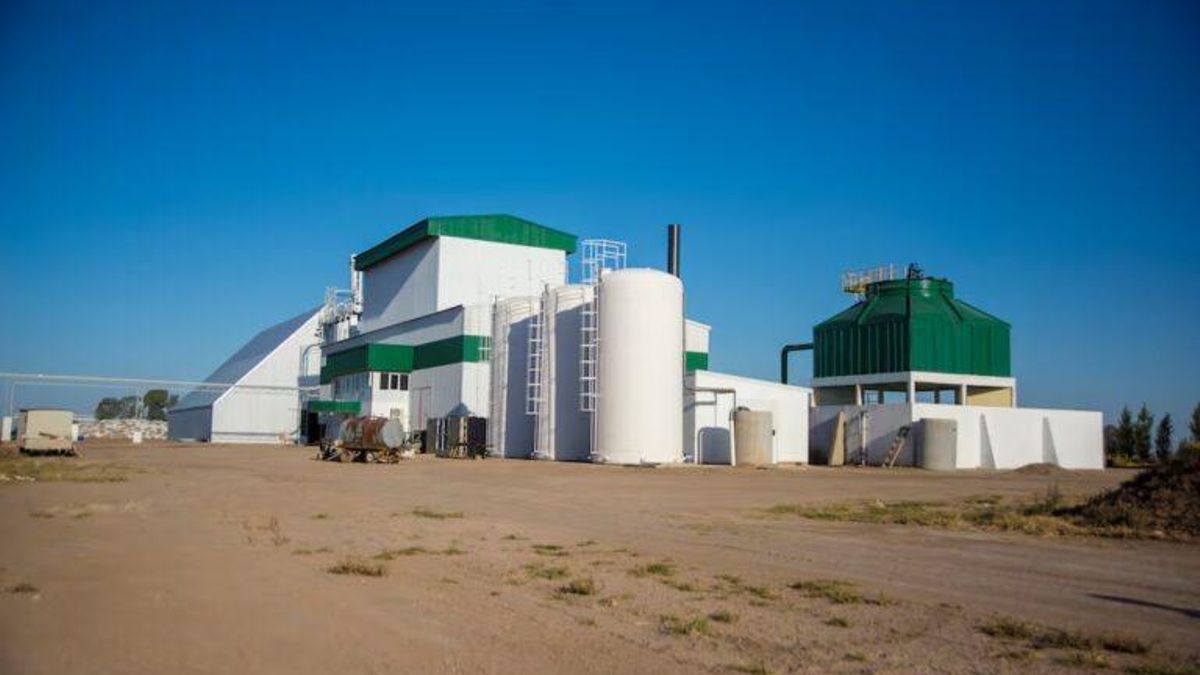 La planta de energía eléctrica en Ticino, Argentina, funciona con cáscaras de maní. Foto: cortesía SGCT.