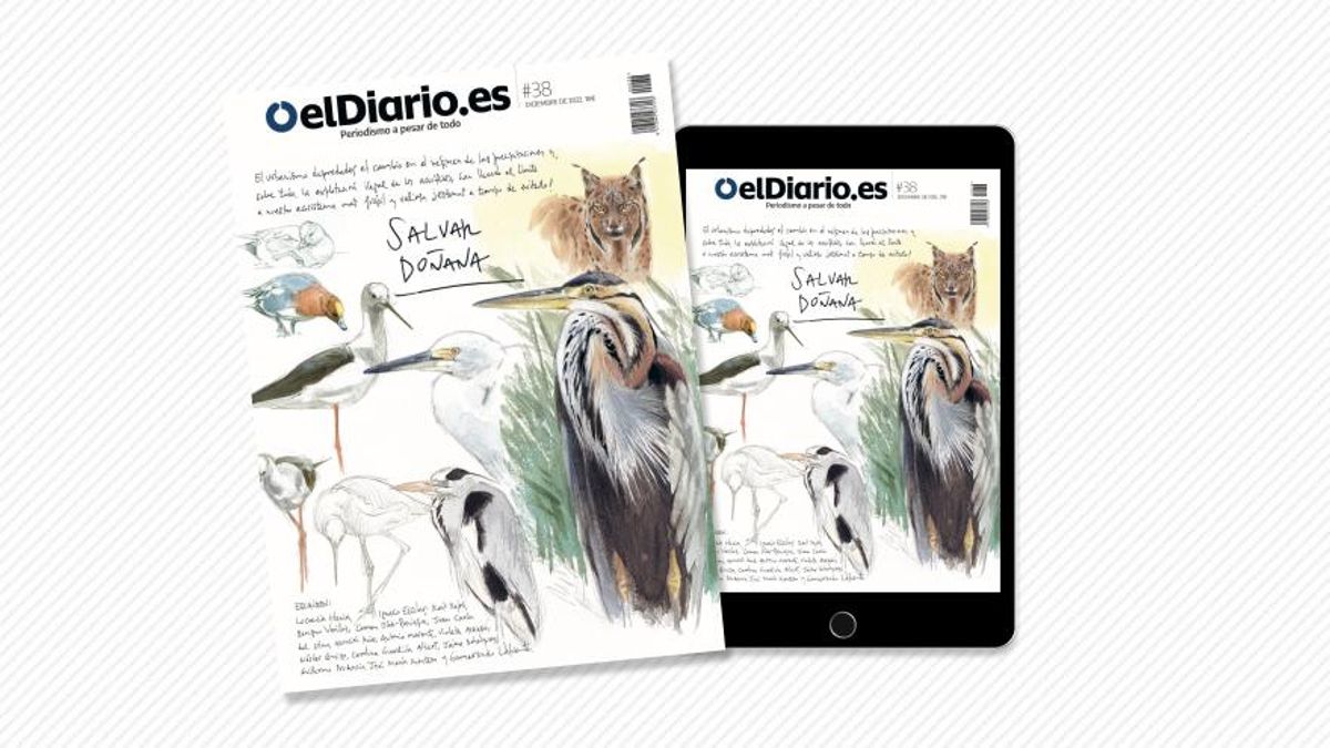 Revista 38