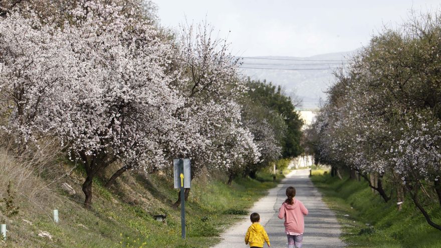 El invierno primaveral genera caos en los ecosistemas españoles