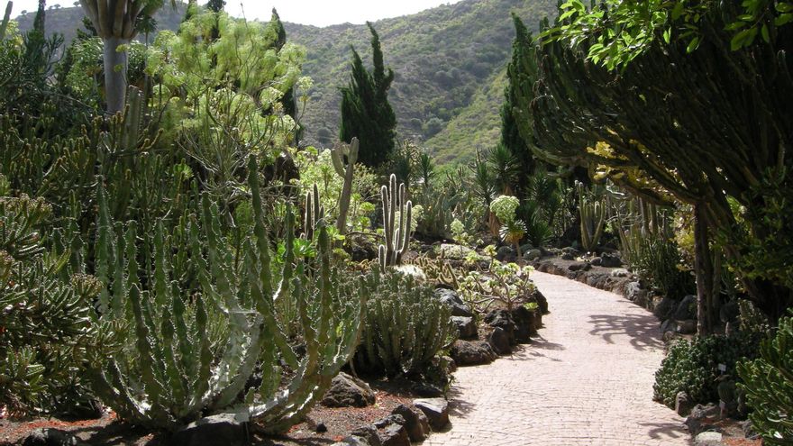 The largest botanical garden in Spain spans 27 hectares and is located in this corner of the Canary Islands