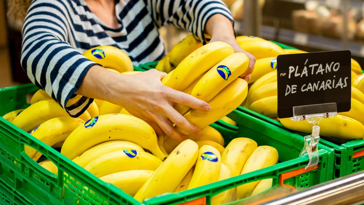 Plátano de Canarias cierra 2025 en España “con liderazgo en valor pero mayor presión de la banana de terceros países en volumen”