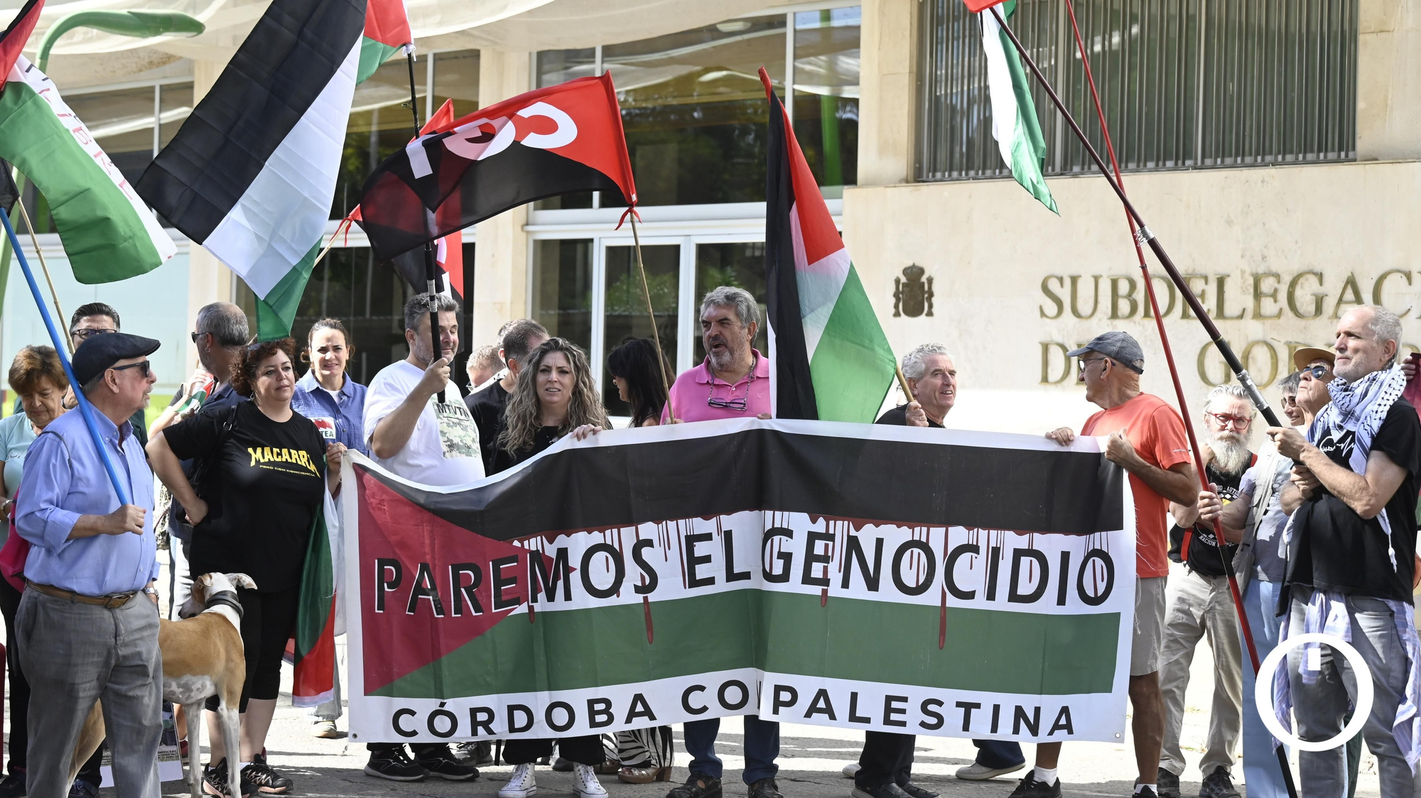Manifestación por Palestina en la Subdelegación de Gobierno