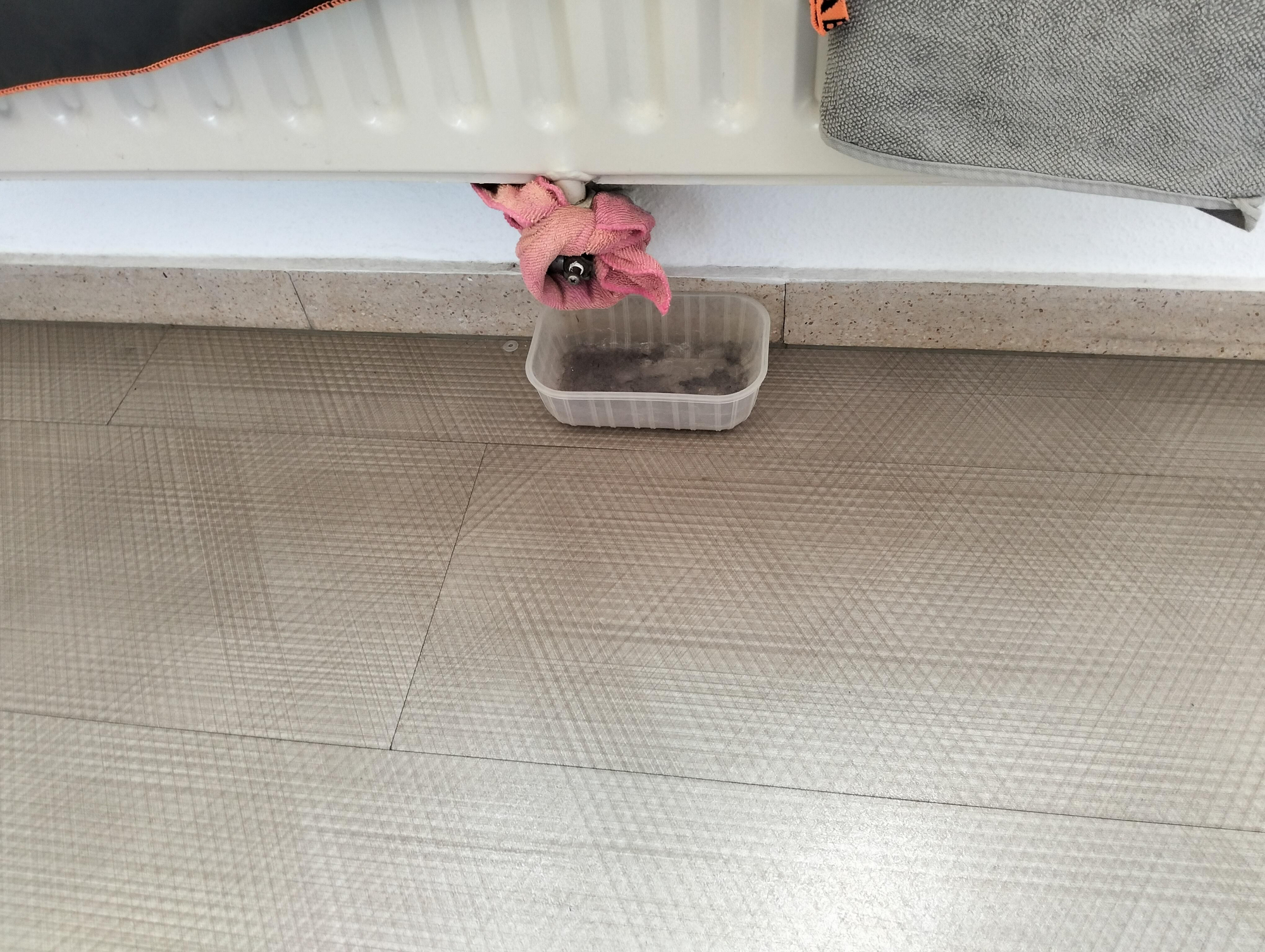 Pérdida de agua de los radiadores de la Policía Local de Logroño