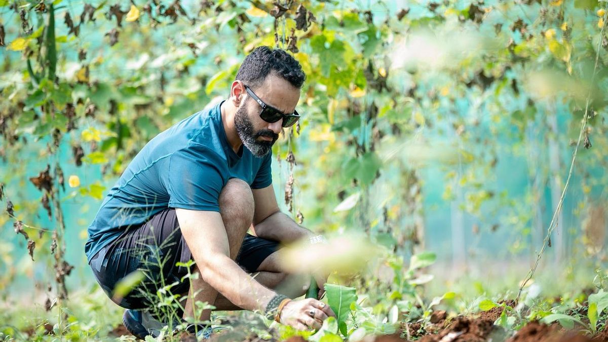 La Junta adjudica casi 15 millones de euros a 280 agricultores y ganaderos jóvenes de Córdoba