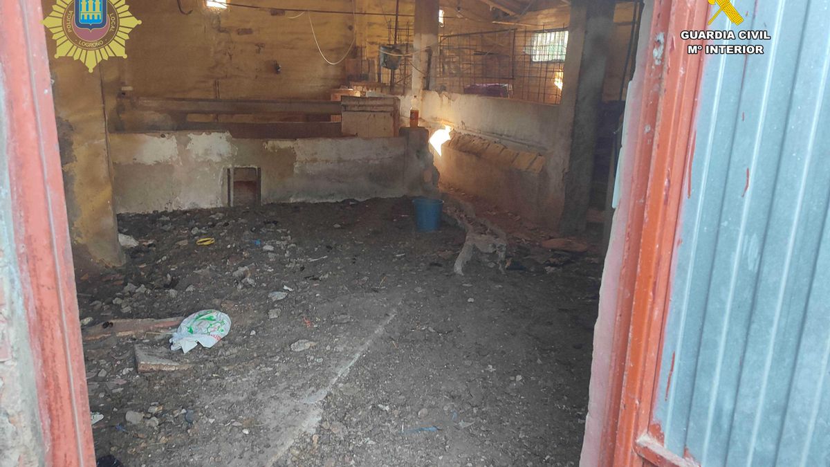 La caseta donde tenían a los animales en malas condiciones en Logroño