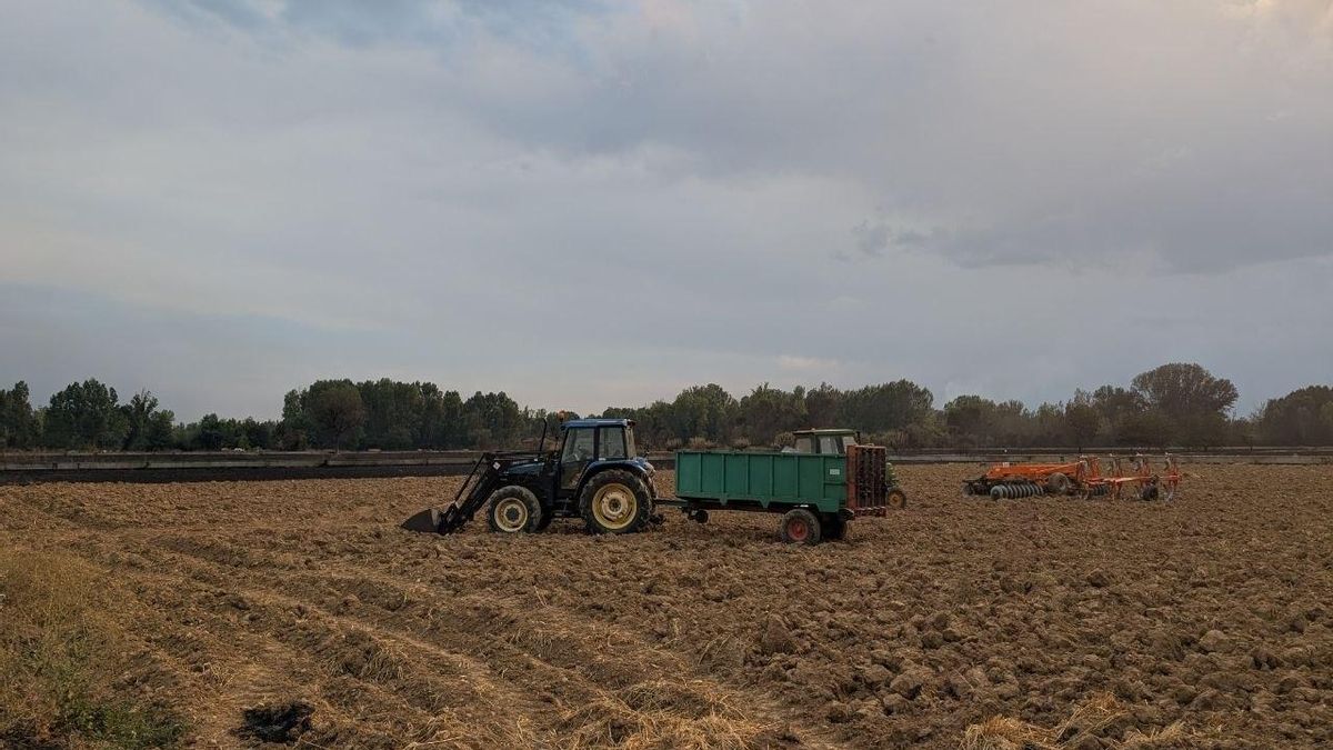 Castilla y León se juega 10 millones europeos en ayudas agrícolas por no controlar la conservación de los hábitats