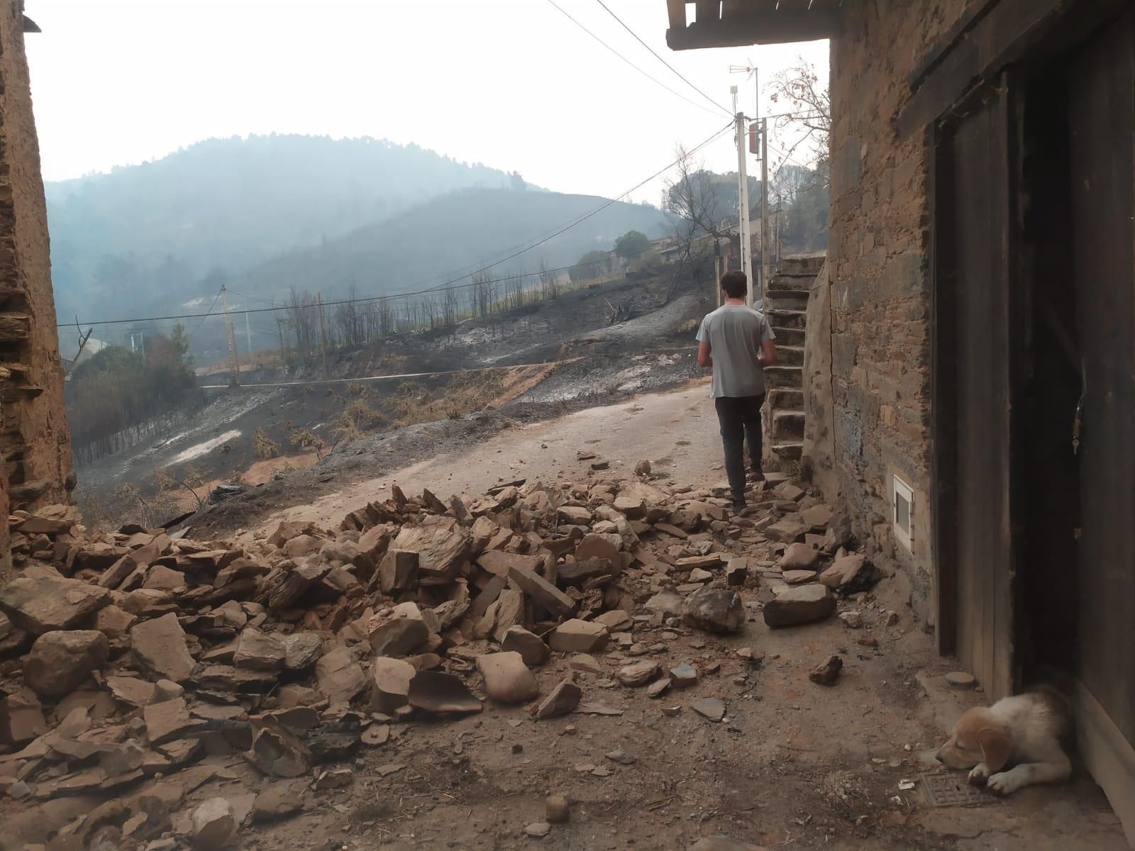 One of the young people who was saved in Santa María (Petín, Ourense) passes before the winery in which he took refuge with his neighbors, in whose door a dog sleeps.
