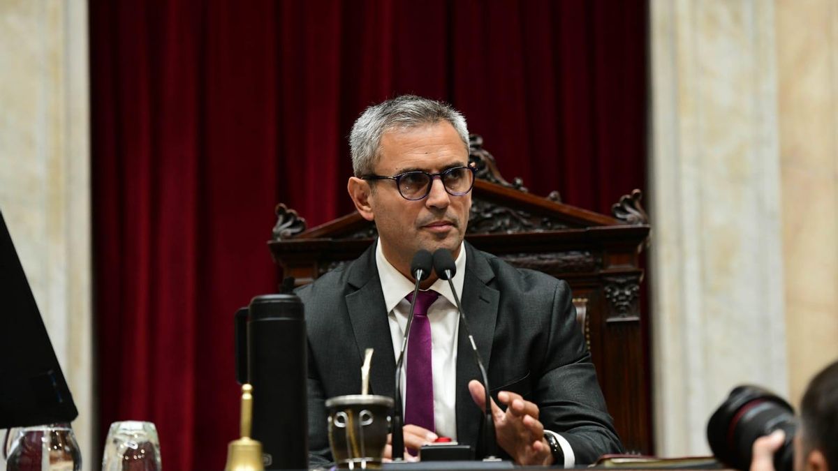 El presidente de la Cámara de Diputados, Martín Menem