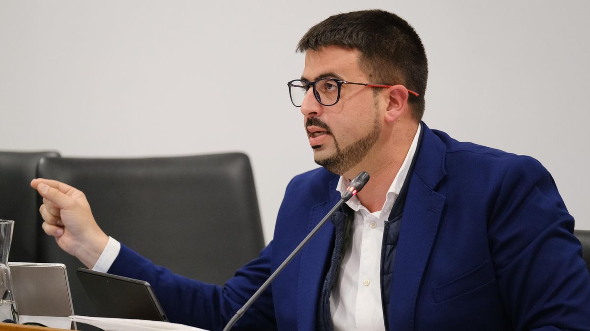Borja Perdomo, portavoz del Grupo Socialista en el Cabildo de La Palma.