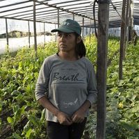 avatar de Maritsa Puma