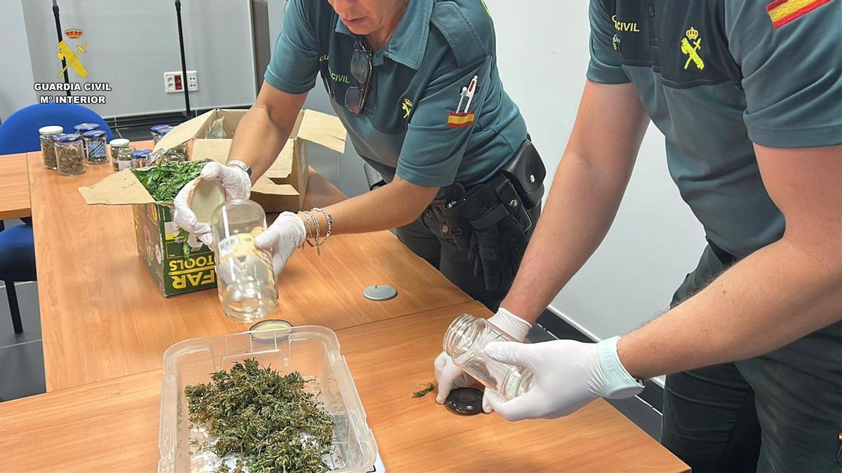La Guardia Civil detiene en La Rioja a un maltratador que además cultivaba droga en casa
