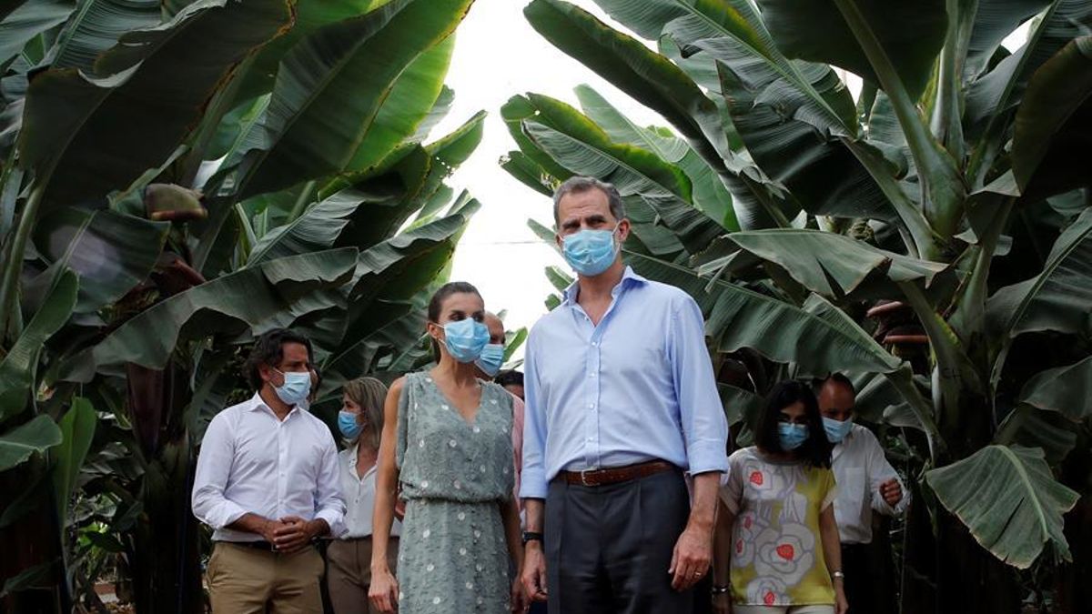 Los Reyes visitan las plantaciones de plátanos del sur de Tenerife