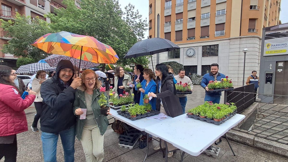 Día de la Madre en Logroño: paciencia, capuchas y paraguas para recoger una planta del vivero municipal