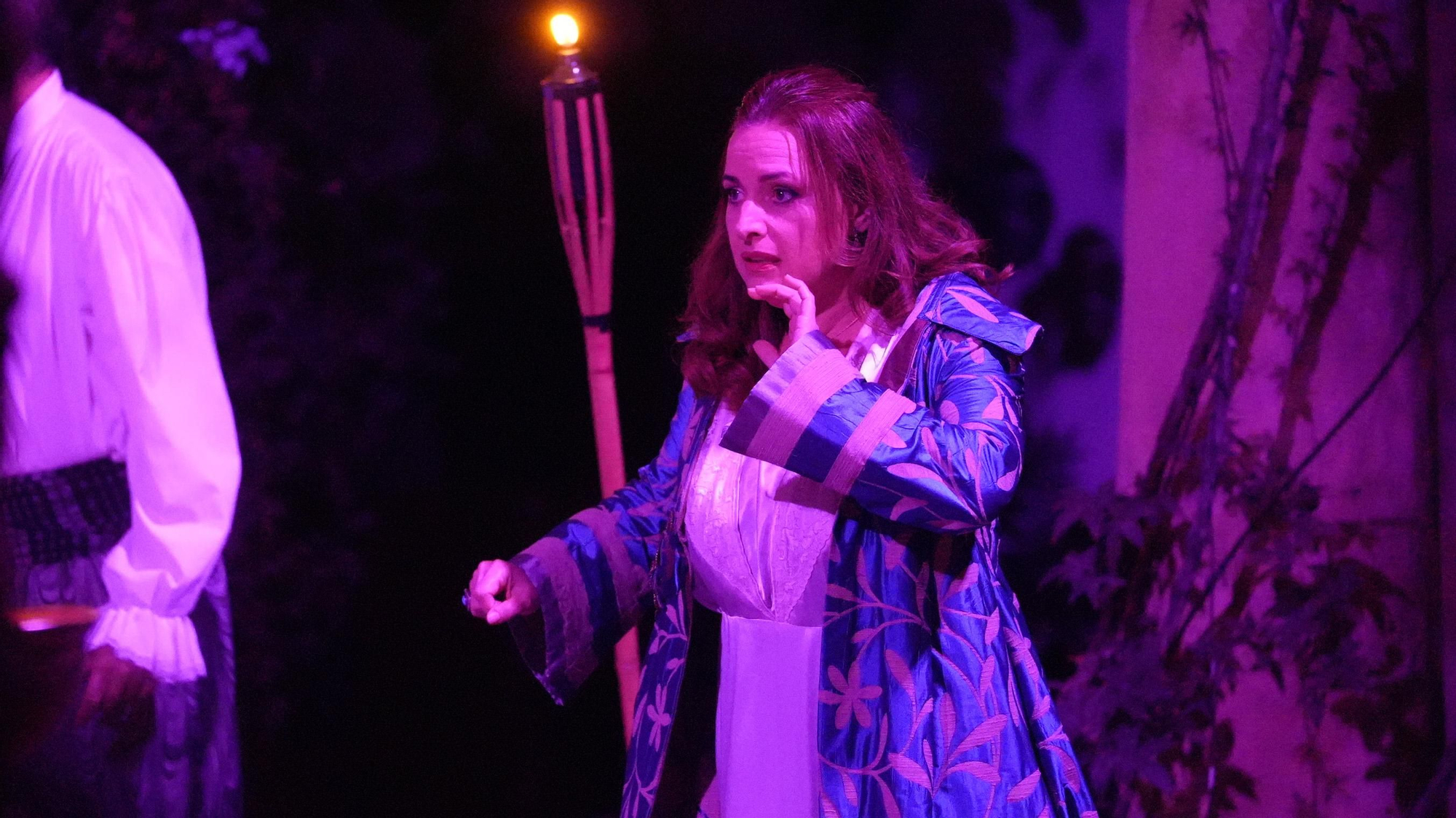 El burlador de Palacio