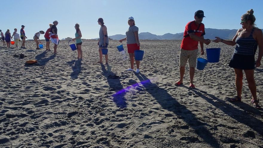 Uno de los humedales más importantes de Europa se está desecando: "Han desaparecido los flamencos"