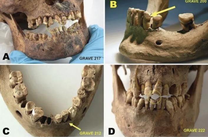 Las expediciones dejaron cuerpos arrasados bajo el hielo