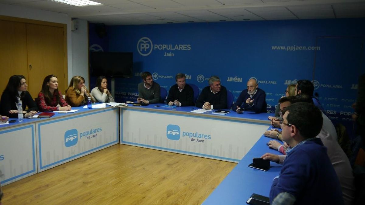Fernández de Moya: "Tengo la autorización de la dirección nacional para concurrir" al congreso provincial del PP