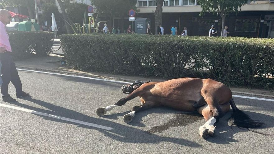 La muerte de un caballo reabre el debate sobre el trato que reciben en la Feria de Abril