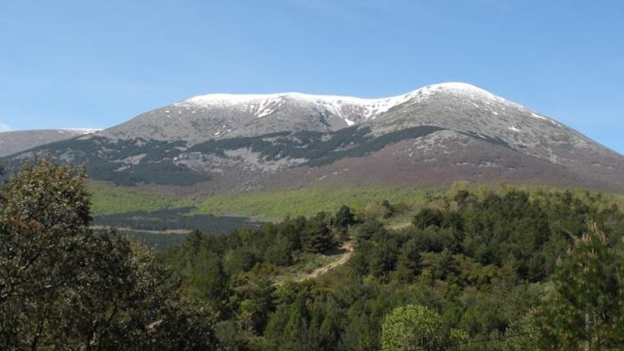 Cuatro destinos que justifican por qué Aragón es uno de los lugares preferidos por los amantes de las setas