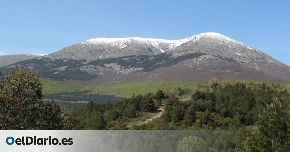 Cuatro destinos que justifican por qué Aragón es uno de los lugares preferidos por los amantes de las setas