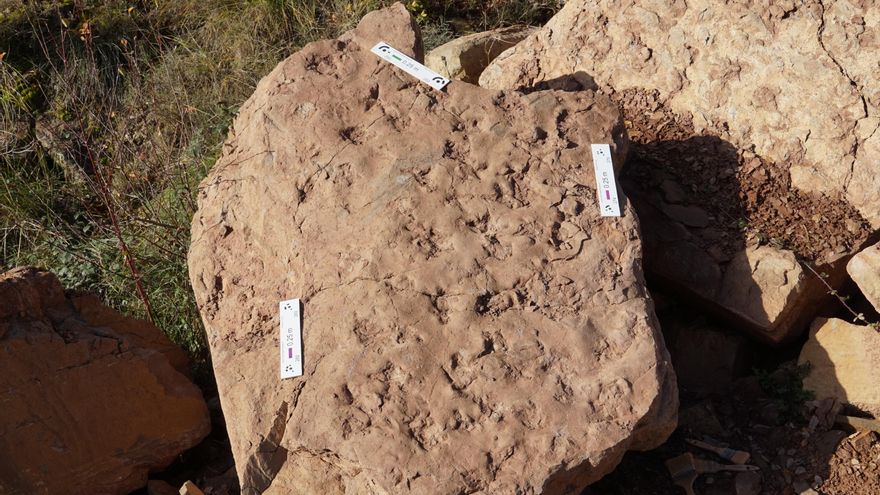 Un desprendimiento revela un bloque con huellas de mamíferos de hace 30 millones de años en Anzánigo (Huesca)