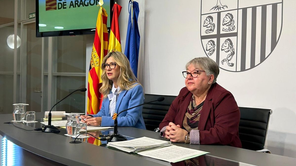 El Gobierno de Aragón presenta 24 alegaciones al plan energético estatal y exige más inversión en la red eléctrica